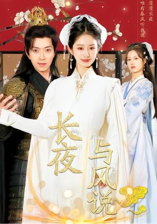短剧长夜与风说海报