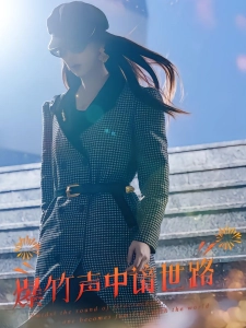 短剧爆竹声中谙世路海报