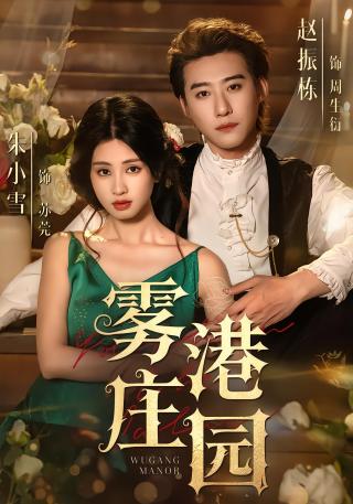 短剧雾港庄园海报