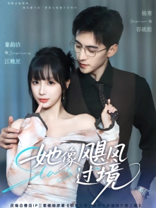 短剧她像飓风过境海报