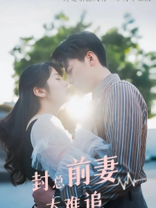 短剧封总前妻太难追海报