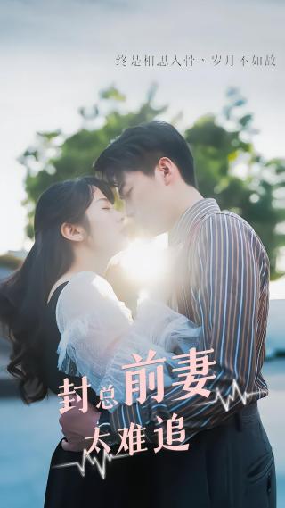 短剧封总前妻太难追海报