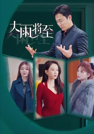 短剧大雨将至海报
