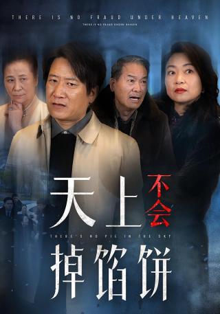 短剧天上不会掉馅饼海报