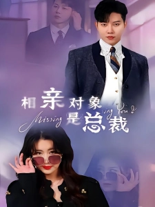 短剧相亲对象是总裁海报