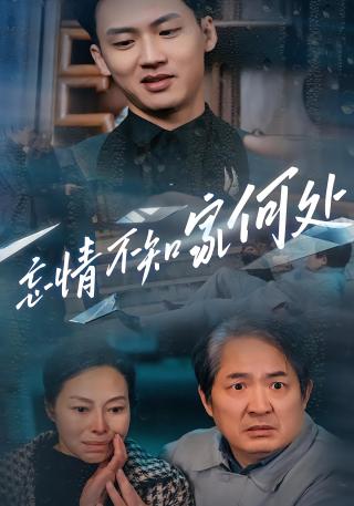 短剧忘情不知家何处海报