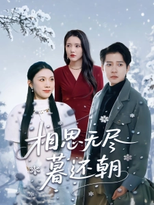 短剧相思无尽暮还朝海报