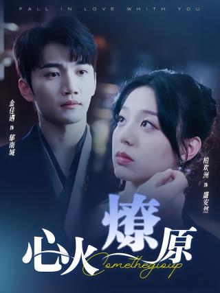 短剧心火燎原海报