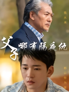 短剧父子哪有隔夜仇海报