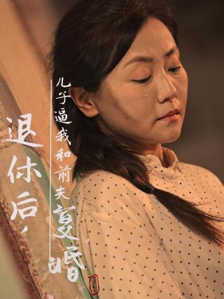 短剧退休后，儿子逼我和前夫复婚海报