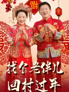 短剧找个老伴儿回村过年海报
