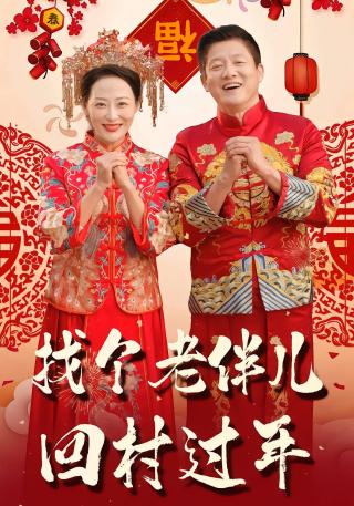 短剧找个老伴儿回村过年海报