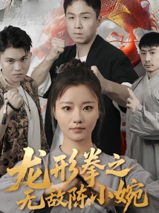 短剧龙形拳之无敌陈小婉海报