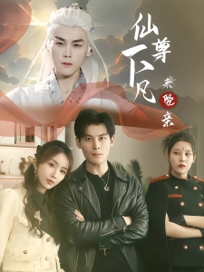 短剧仙尊下凡来娶亲海报