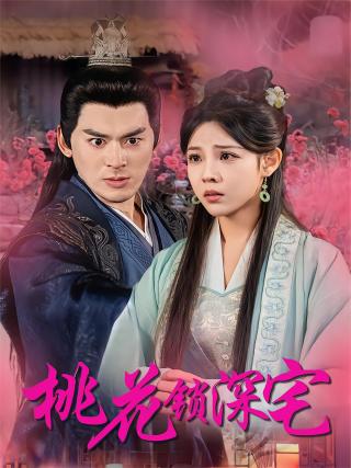 短剧桃花锁深宅海报