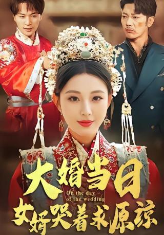 短剧大婚当日，女婿哭着求原谅海报