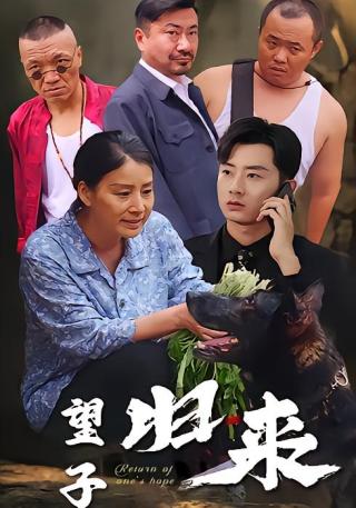 短剧望子归来海报