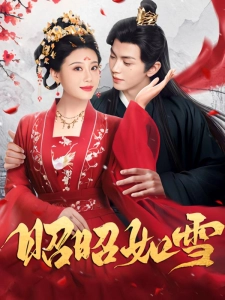 短剧昭昭如雪海报