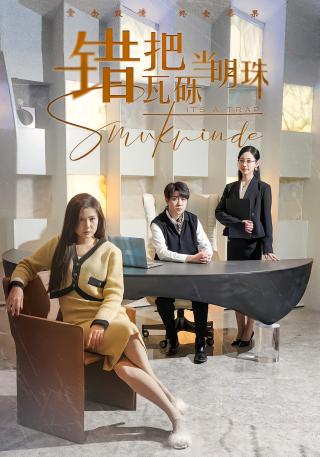 短剧错把瓦砾当明珠海报