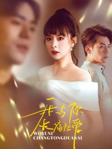 短剧我与你长痛短爱海报