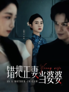 短剧错把正妻当婆婆海报