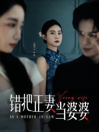 短剧错把正妻当婆婆海报