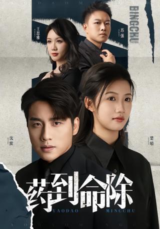 短剧药到命除海报