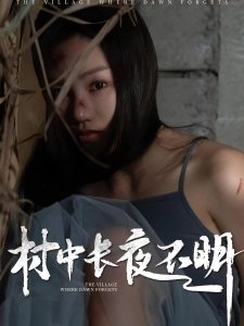 短剧村中长夜不明海报