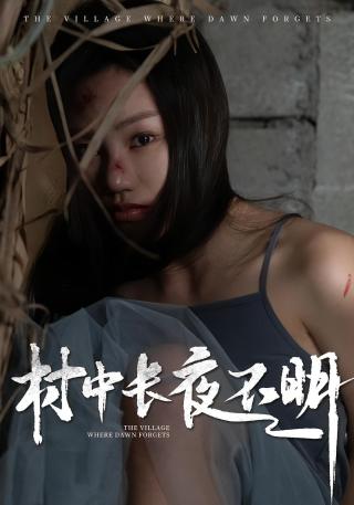 短剧村中长夜不明海报