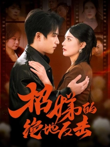 短剧招娣的绝地反击海报