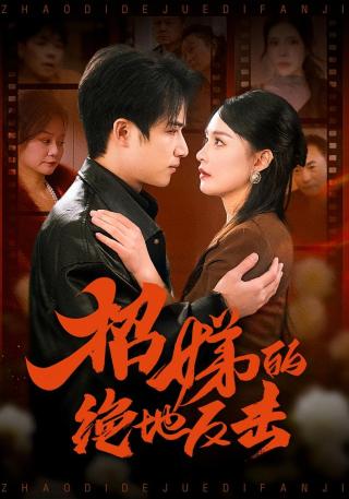 短剧招娣的绝地反击海报