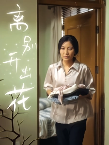 短剧离别开出花海报