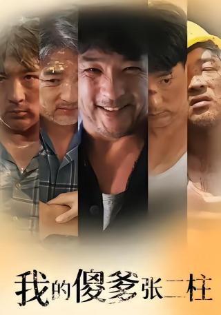 短剧我的傻爹张二柱海报