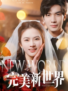 短剧完美新世界海报