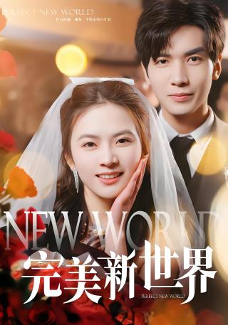 短剧完美新世界海报
