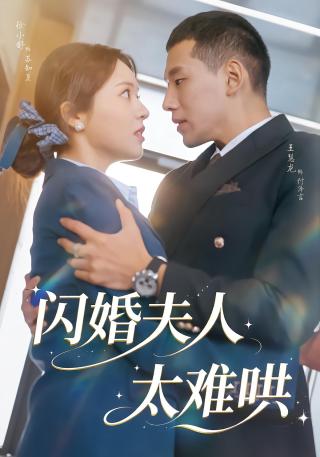 短剧闪婚夫人太难哄海报