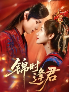 短剧锦时逢君海报