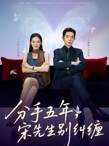 短剧分手五年，宋先生别纠缠海报