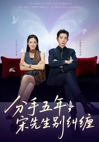 短剧分手五年，宋先生别纠缠海报