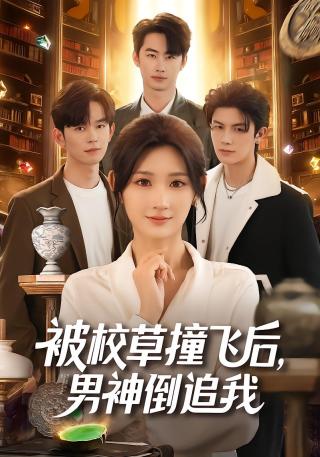 短剧被校草撞飞后，男神倒追我海报