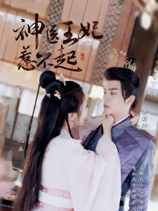 短剧神医王妃惹不起海报