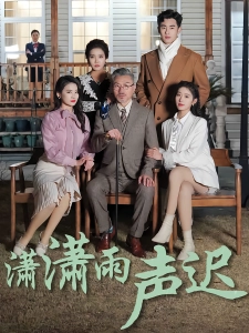 短剧潇潇雨声迟海报