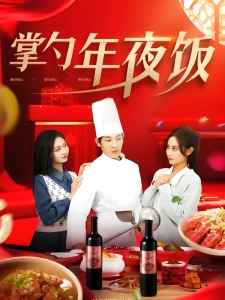 短剧掌勺年夜饭海报