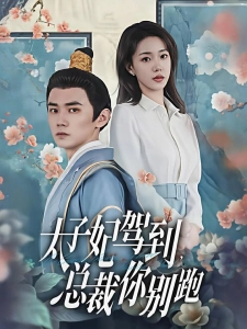 短剧太子妃驾到，总裁你别跑海报