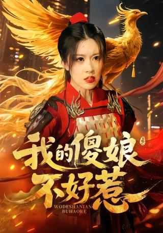 短剧我的傻娘不好惹海报