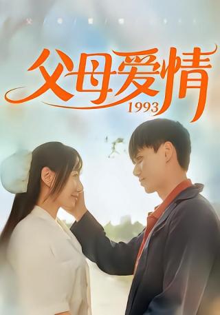 短剧父母爱情1993海报