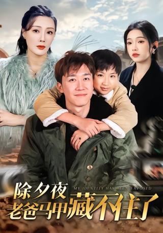 短剧除夕夜老爸马甲藏不住了海报