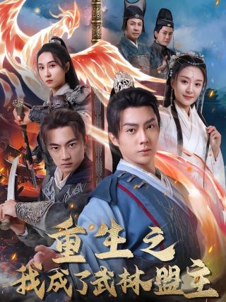 短剧重生之我成了武林盟主海报