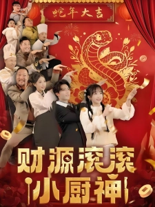 短剧财源滚滚小厨神海报