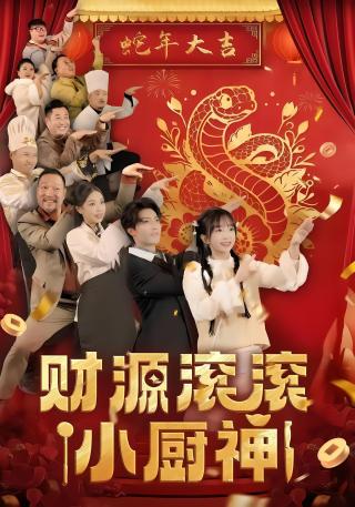 短剧财源滚滚小厨神海报